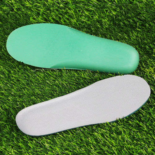 Bio-Based Foam Insoles